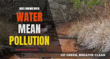 Brown River Water: A Sign of Pollution or Natural Process?