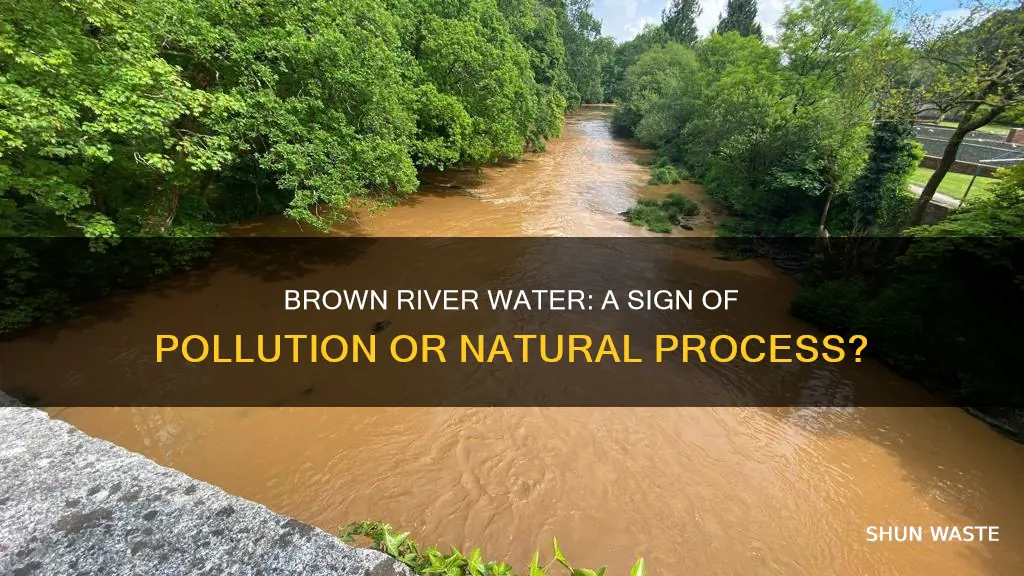 does brown river water mean pollution