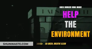 Burger King's Eco-Friendly Efforts: Helping the Environment or Greenwashing?