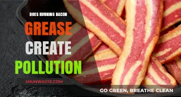 Burning Bacon Grease: Is It Polluting Your Home?