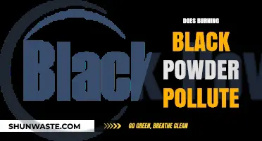 Black Powder: Burning Questions on Pollution