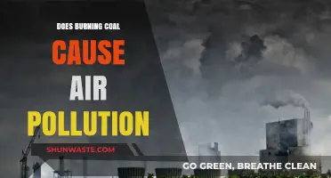 Coal's Impact: Unveiling the Air Pollution Mystery