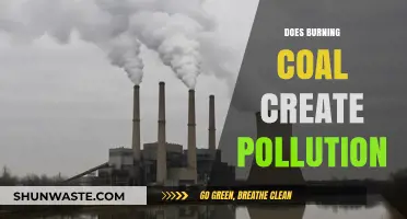 Burning Coal: Is It a Major Pollutant?