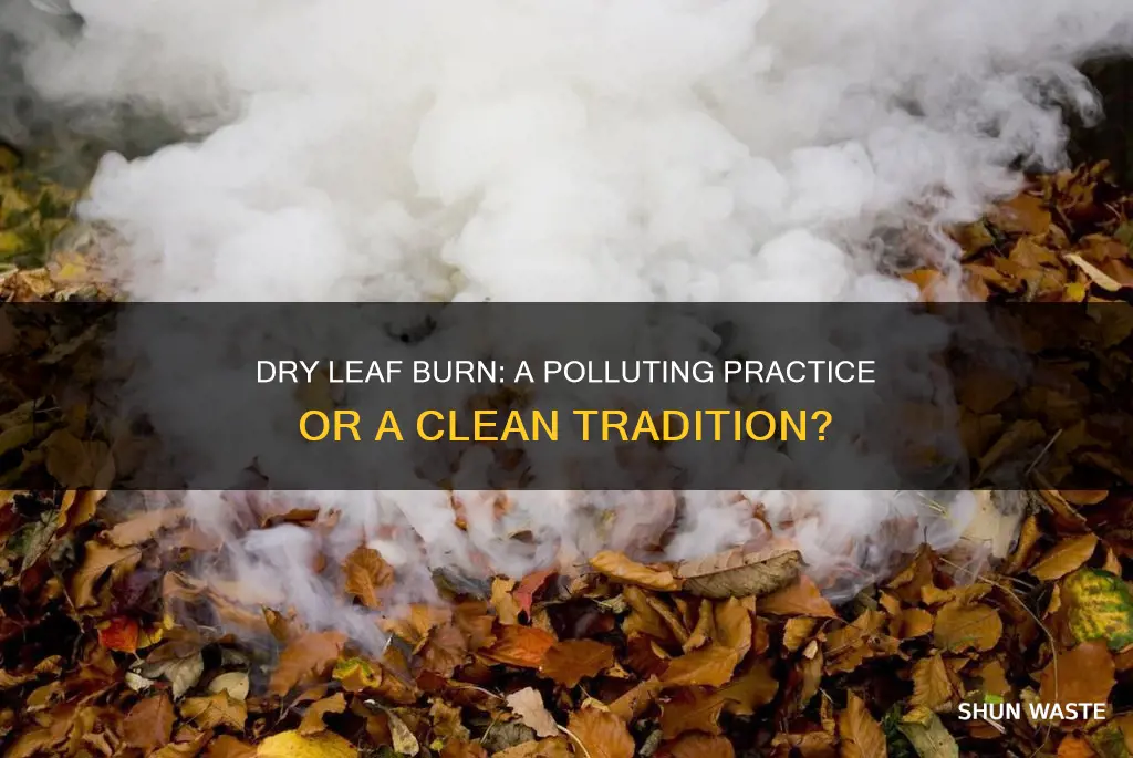 does burning dry leaves cause pollution