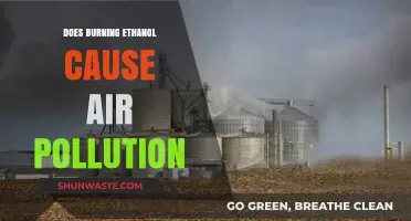 Ethanol's Impact: Does Burning Cause Air Pollution?