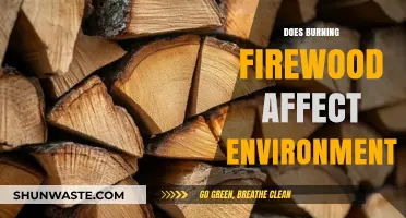 Burning Firewood: Environmental Impact and Sustainable Alternatives Explored