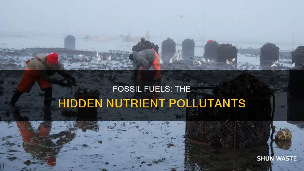 does burning fossil fuels cause nutrient pollution