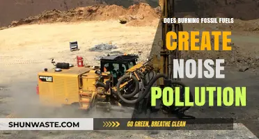 Fossil Fuels: A Noisy Business?
