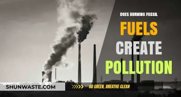 Fossil Fuels: Burning Questions on Pollution and Climate Change