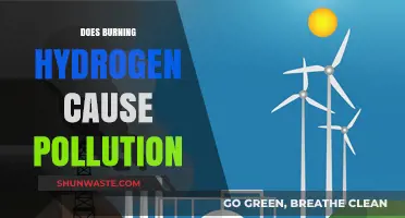 Hydrogen Burning: Clean Energy or Hidden Pollution?