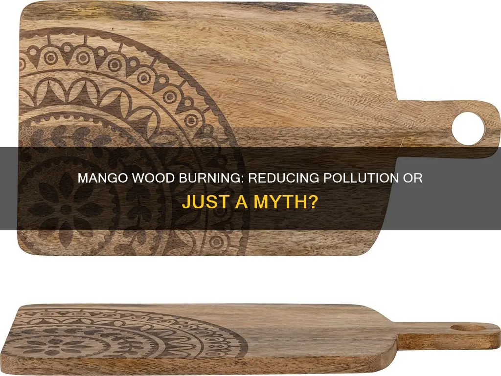 does burning mango wood reduce pollution