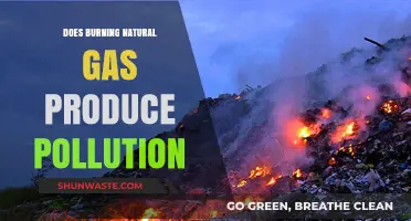Natural Gas: Burning Questions on Pollution