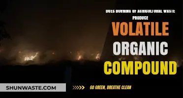 Agricultural Waste Burning: A Source of Volatile Organic Compounds?