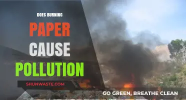 Paper Burning: Environmental Impact and Pollution Concerns