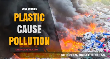 Unveiling the Plastic Burn Truth: Environmental Impact