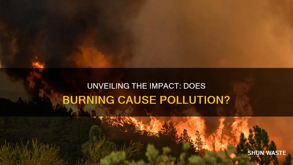 does burning things cause pollution