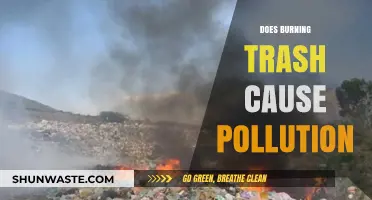 Trash Burning: A Polluting Practice or Sustainable Solution?