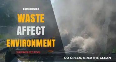 Burning Waste: Environmental Impacts and Sustainable Alternatives Explored