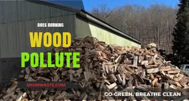 Burning Wood: Is It Polluting Our Planet?