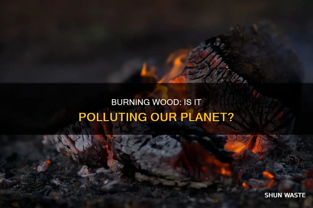 does burning wood pollute