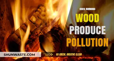 Burning Wood: Is It a Clean Energy Source?