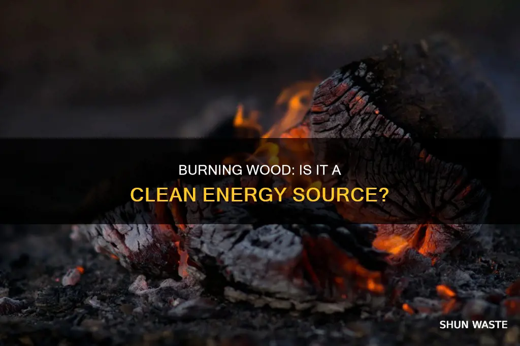 does burning wood produce pollution