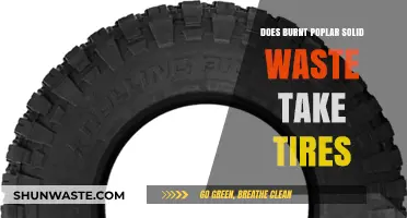Can Burnt Poplar Solid Waste Effectively Incorporate Tires in Recycling?