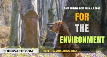 Burying Dead Animals: Eco-Friendly Practice or Environmental Concern?