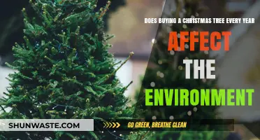 Eco-Impact of Annual Christmas Trees: Sustainable or Harmful Tradition?