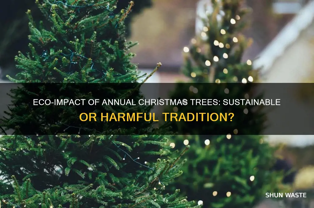 does buying a christmas tree every year affect the environment