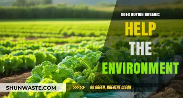 Organic Food: A Sustainable Choice for Environmental Conservation?