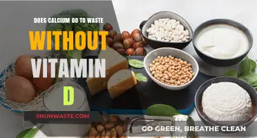 Calcium Absorption: Why Vitamin D is Essential for Bone Health