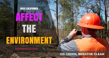 California's Environmental Impact: How the Golden State Shapes Our Planet