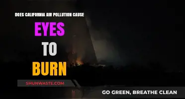 Air Pollution's Impact: Burning Eyes in California