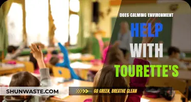 Calm Spaces: Easing Tourette's Symptoms Through Soothing Environments