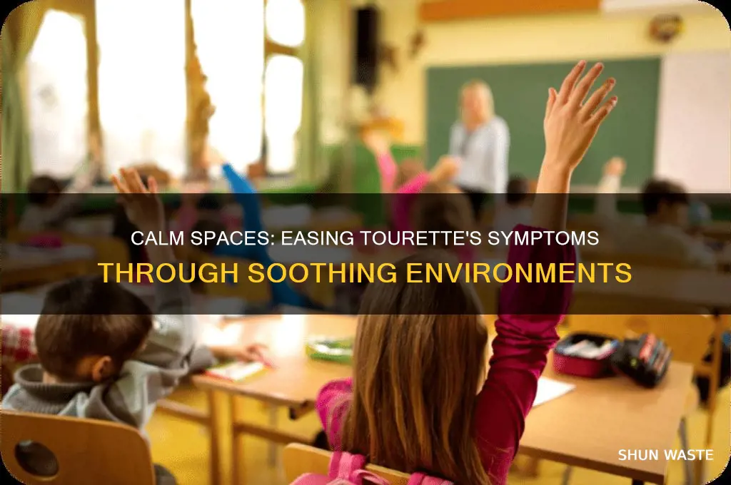 does calming environment help with tourette