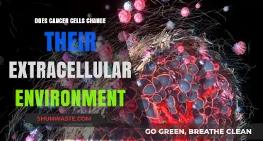 How Cancer Cells Alter Their Extracellular Environment: Mechanisms and Impact