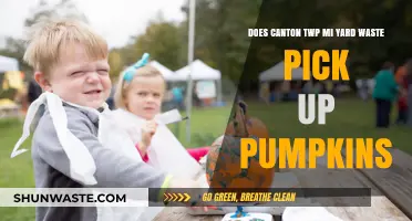 Canton Twp MI Yard Waste: Can You Toss Pumpkins in Pickup?