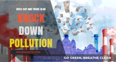 Cap and Trade: Pollution's Double Whammy?
