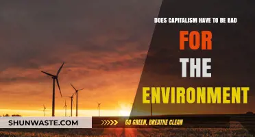 Can Capitalism and Environmental Sustainability Coexist? Exploring the Possibilities