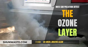 Car Pollution: Ozone Layer's Foe?