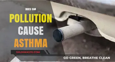 Breathing Trouble: Unveiling the Asthma-Air Pollution Link