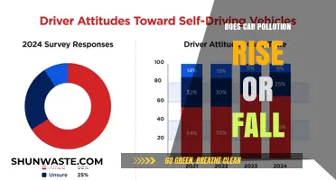Car Pollution: Rise or Fall?