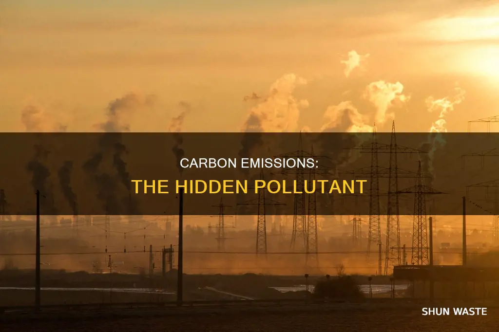 does carbon emissions cause pollution