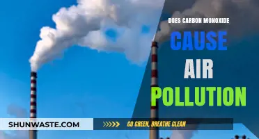 Unveiling the Impact: Carbon Monoxide's Role in Air Pollution