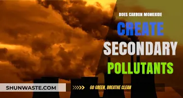 Carbon Monoxide's Secondary Pollution: What You Need to Know