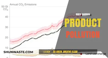 Carbon Products: Pollution and Climate Change