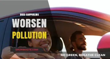 Carpooling: Friend or Foe in Pollution Fight?