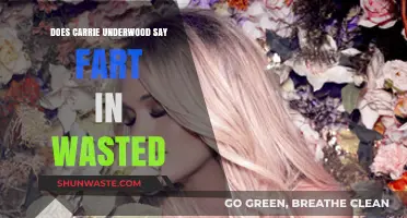 Did Carrie Underwood Really Say 'Fart' in 'Wasted'? Analyzed