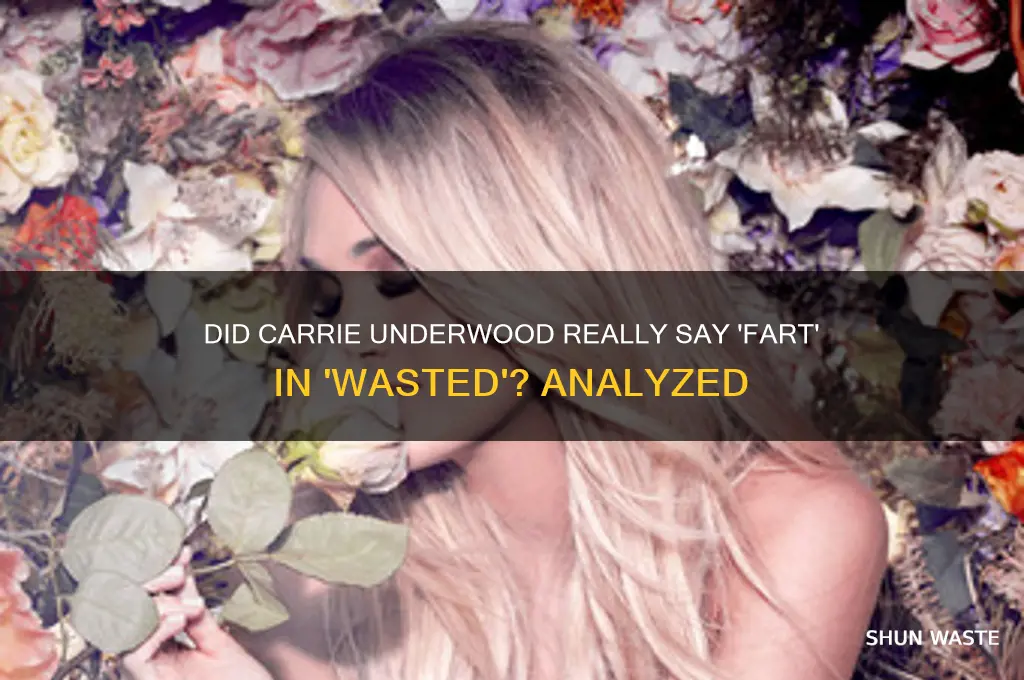 does carrie underwood say fart in wasted